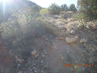 Bagdad run - trees at canyon bottom