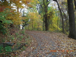 Pennypack Park run