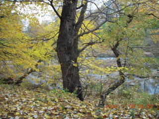 Pennypack Park run
