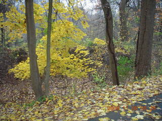 Pennypack Park run