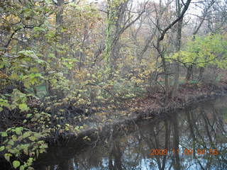 Tookany Creek Park run