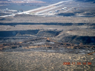 cattle feeding along the road