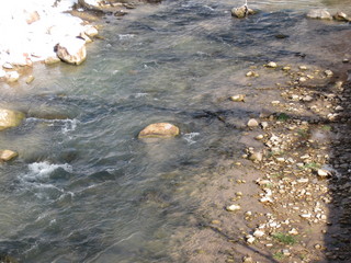 beth's Saturday zion-trip pictures - Zion National Park