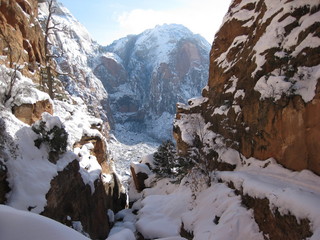 beth's Saturday zion-trip pictures - Zion National Park - Debbie