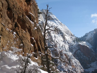 beth's Saturday zion-trip pictures - Zion National Park - Angels Landing hike - bridge