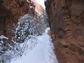 beth's Saturday zion-trip pictures - Zion National Park - Angels Landing hike