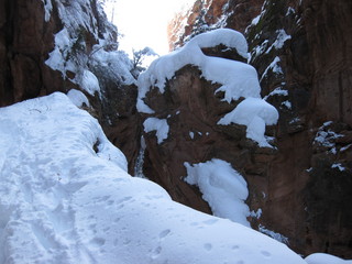 beth's Saturday zion-trip pictures - Zion National Park - Angels Landing hike