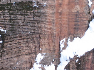 beth's Saturday zion-trip pictures - Zion National Park - Angels Landing hike