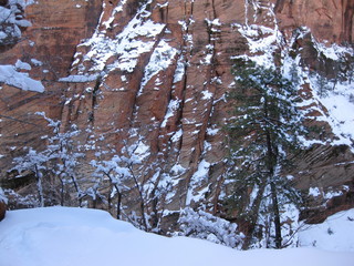beth's Saturday zion-trip pictures - Zion National Park - Angels Landing hike