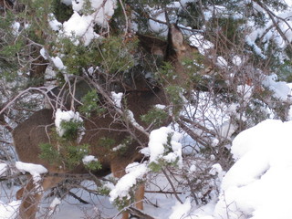 beth's Saturday zion-trip pictures - Zion National Park - Angels Landing hike