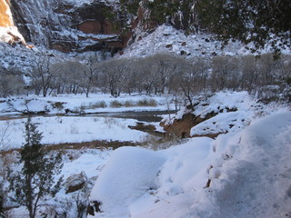beth's Saturday zion-trip pictures - Zion National Park - Angels Landing hike