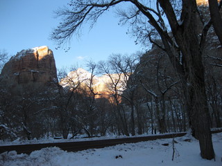 beth's Saturday zion-trip pictures - Zion National Park - Angels Landing hike