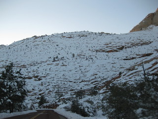beth's Saturday zion-trip pictures - Zion National Park