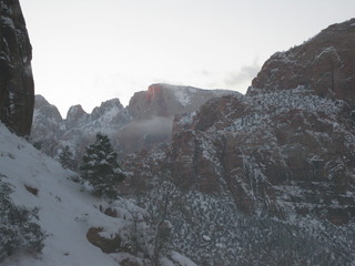 beth's Saturday zion-trip pictures - Zion National Park