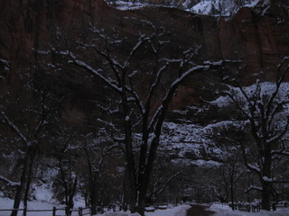 beth's Saturday zion-trip pictures - Zion National Park