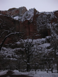 beth's Sunday zion-trip pictures - Zion National Park - pre-dawn riverwalk