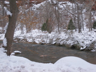 beth's Sunday zion-trip pictures - Zion National Park