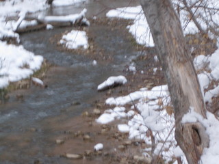 beth's Sunday zion-trip pictures - Zion National Park - Virgin River