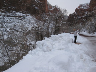 beth's Sunday zion-trip pictures - Zion National Park - artsy mule deer picture