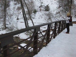 beth's Sunday zion-trip pictures - Zion National Park - Emerald Ponds hike - bridge