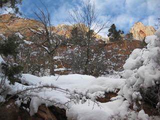 beth's Sunday zion-trip pictures - Zion National Park - Emerald Ponds hike