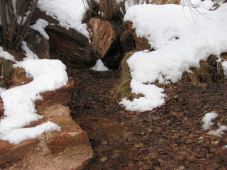 beth's Sunday zion-trip pictures - Zion National Park