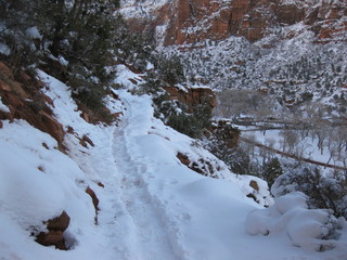 beth's Sunday zion-trip pictures - Zion National Park - duck