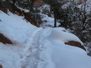 beth's Sunday zion-trip pictures - Zion National Park - Emerald Ponds hike