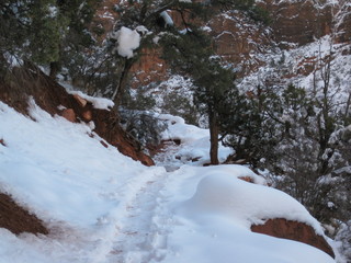 beth's Sunday zion-trip pictures - Zion National Park - Emerald Ponds hike - river