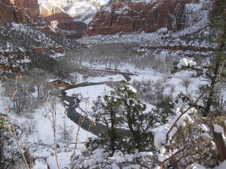 beth's Sunday zion-trip pictures - Zion National Park - Emerald Ponds hike