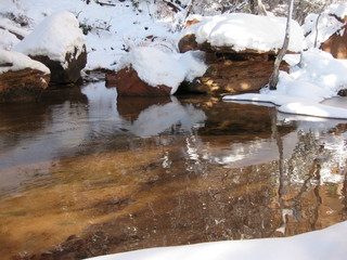 beth's Sunday zion-trip pictures - Zion National Park - Emerald Ponds hike