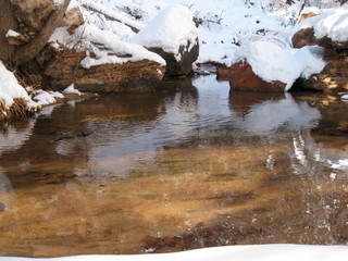 beth's Sunday zion-trip pictures - Zion National Park - Emerald Ponds hike - artsy sepia photo