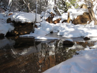 beth's Sunday zion-trip pictures - Zion National Park - Emerald Ponds hike