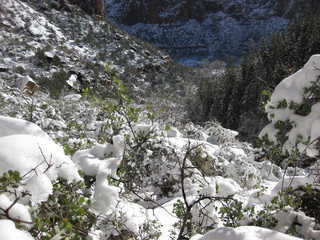 beth's Sunday zion-trip pictures - Zion National Park - Emerald Ponds hike