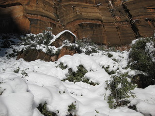 beth's Sunday zion-trip pictures - Zion National Park - Emerald Ponds hike - Debbie