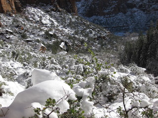beth's Sunday zion-trip pictures - Zion National Park - Emerald Ponds hike - Adam