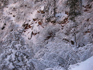 beth's Sunday zion-trip pictures - Zion National Park - Emerald Ponds hike