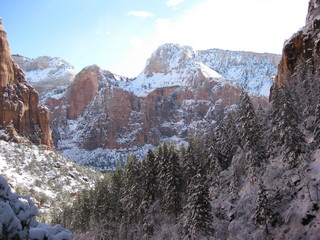 beth's Sunday zion-trip pictures - Zion National Park - Emerald Ponds hike