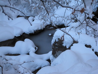 beth's Sunday zion-trip pictures - Zion National Park - Emerald Ponds hike - Adam