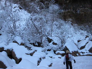 beth's Sunday zion-trip pictures - Zion National Park - Emerald Ponds hike