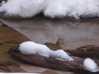 beth's Sunday zion-trip pictures - Zion National Park - Emerald Ponds hike