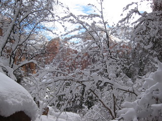 beth's Sunday zion-trip pictures - Zion National Park - Emerald Ponds hike