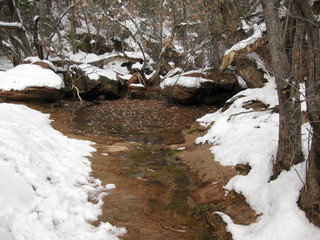 beth's Sunday zion-trip pictures - Zion National Park - Emerald Ponds hike