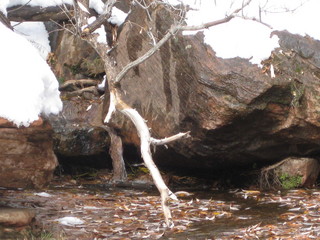 beth's Sunday zion-trip pictures - Zion National Park - Emerald Ponds hike