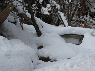 beth's Sunday zion-trip pictures - Zion National Park - Emerald Ponds hike