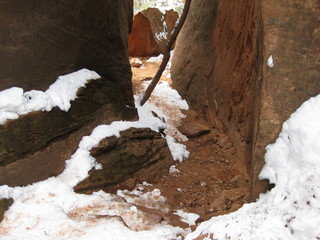 beth's Sunday zion-trip pictures - Zion National Park - Emerald Ponds hike