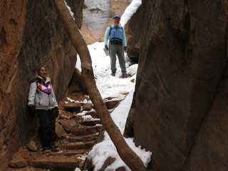 beth's Sunday zion-trip pictures - Zion National Park - Emerald Ponds hike