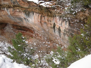 beth's Sunday zion-trip pictures - Zion National Park - Emerald Ponds hike
