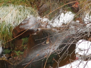 beth's Sunday zion-trip pictures - Zion National Park - Emerald Ponds hike