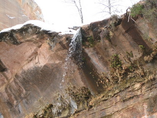 beth's Sunday zion-trip pictures - Zion National Park - Emerald Ponds hike